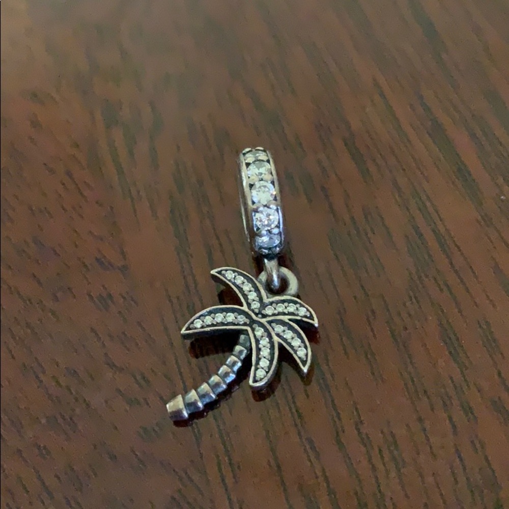Pandora charm